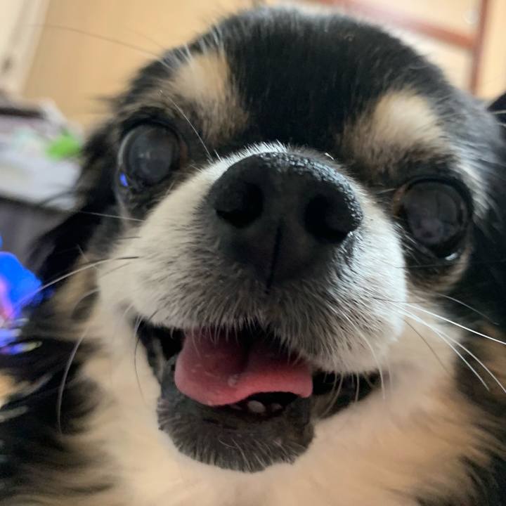 B301b4d8 a3d4 4ac5 aa22 8eae8615a325 1557556319594