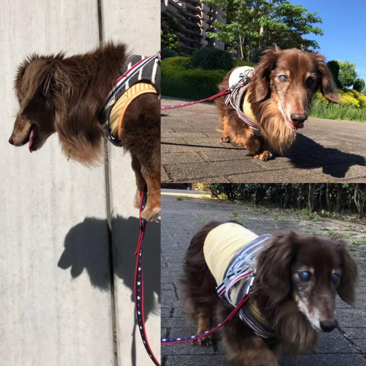 B301b5d4 7c75 4b32 9963 cba4f776b41f 1560856569244