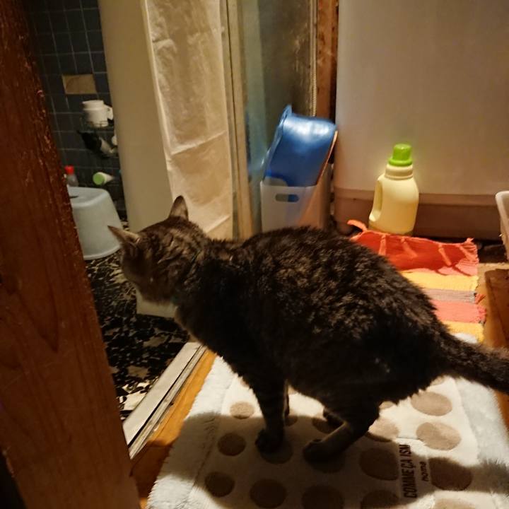 B301c1d2 8d3f 4b73 8ed6 5d7b1b685c39 1573635622423