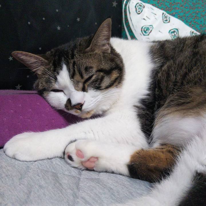 B3020a30 6095 48c0 b6d1 c608d413dbbe 1632300837869