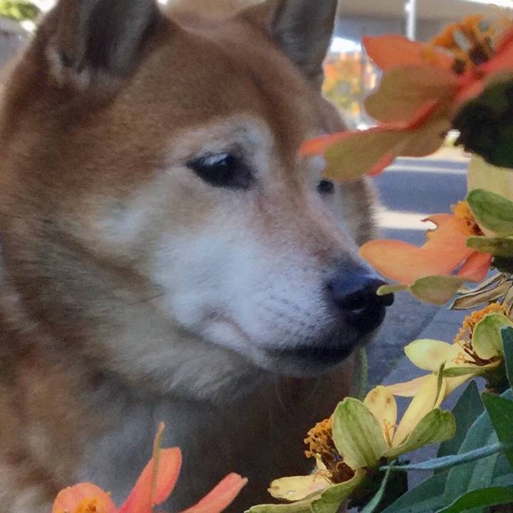 B3020e1c 03a5 451f 82b8 e67d79e5893e 1604118233413