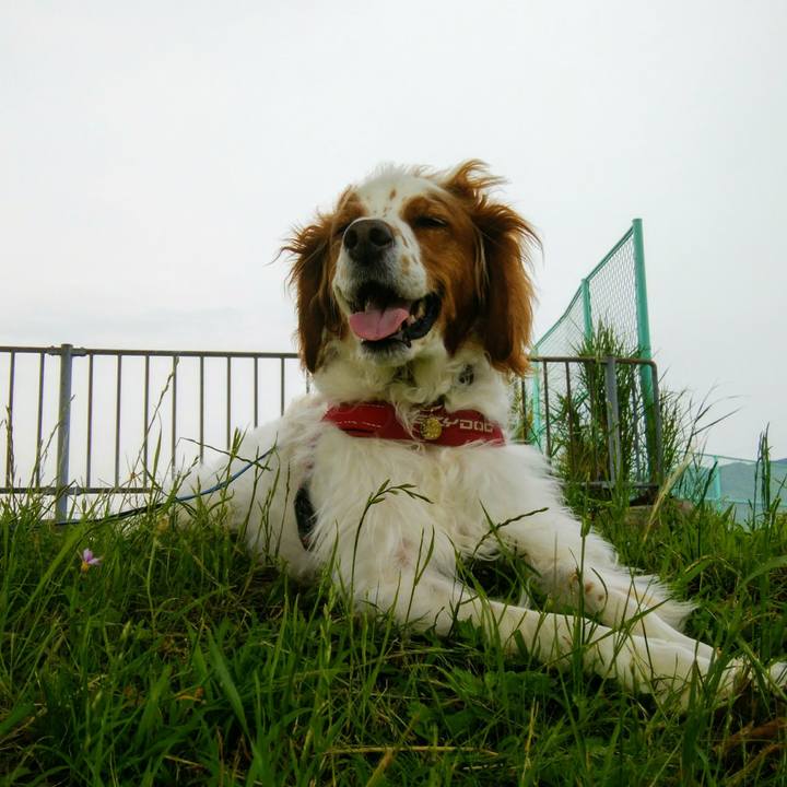 B30218ea d6ef 4485 9b8f 4cbab999fb9f 1560847794485