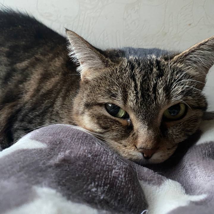 B302309f 0f79 4a13 8dd3 aa6b8da14c86 1613697795250