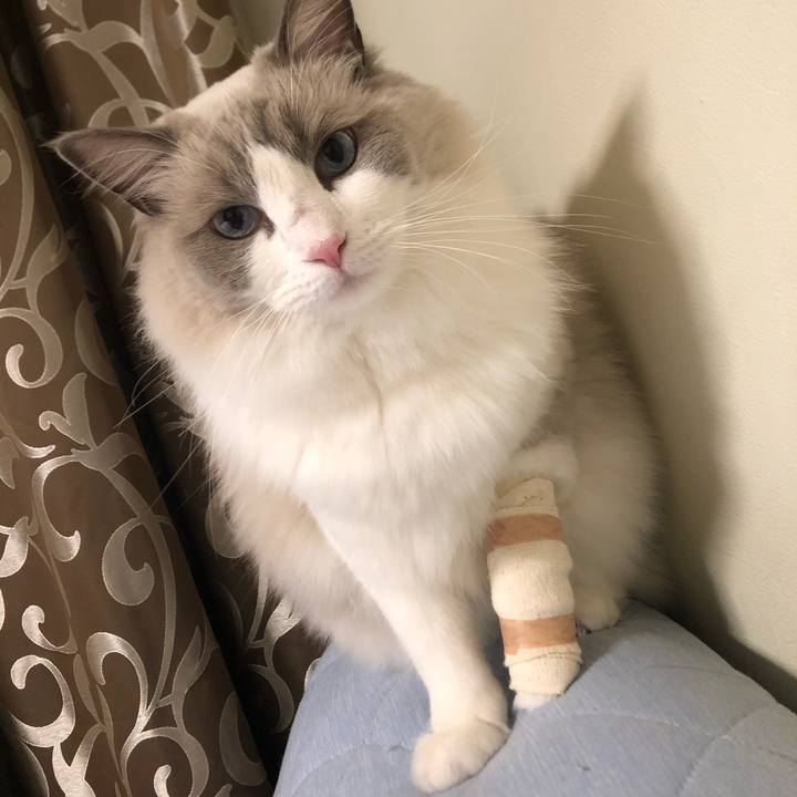 B3027b68 9ae6 4ce7 aa26 e68b4fb962fa 1605844556882