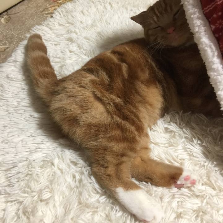 B3029ae8 2bd8 4a34 8fee 6de84a0b1a2c 1510614210038