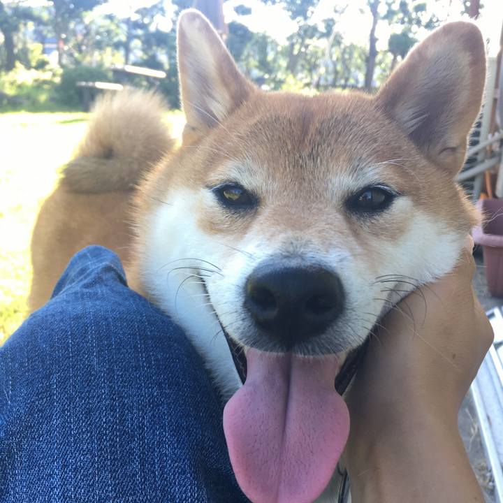 B302ae1e 7152 432e b0b6 615649a135a4 1567944600071