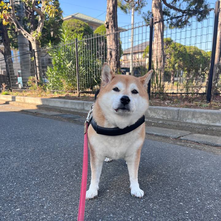 B302bc6b 334c 4b2e bb43 1b8cc9f9cc84 1701915861446