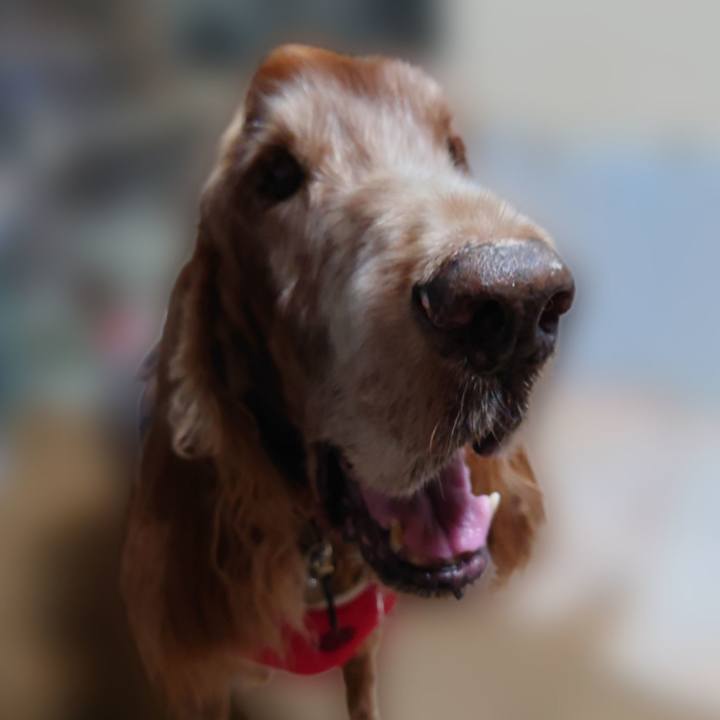 B302d579 326b 4294 991f bb39a991a1da 1725078450303