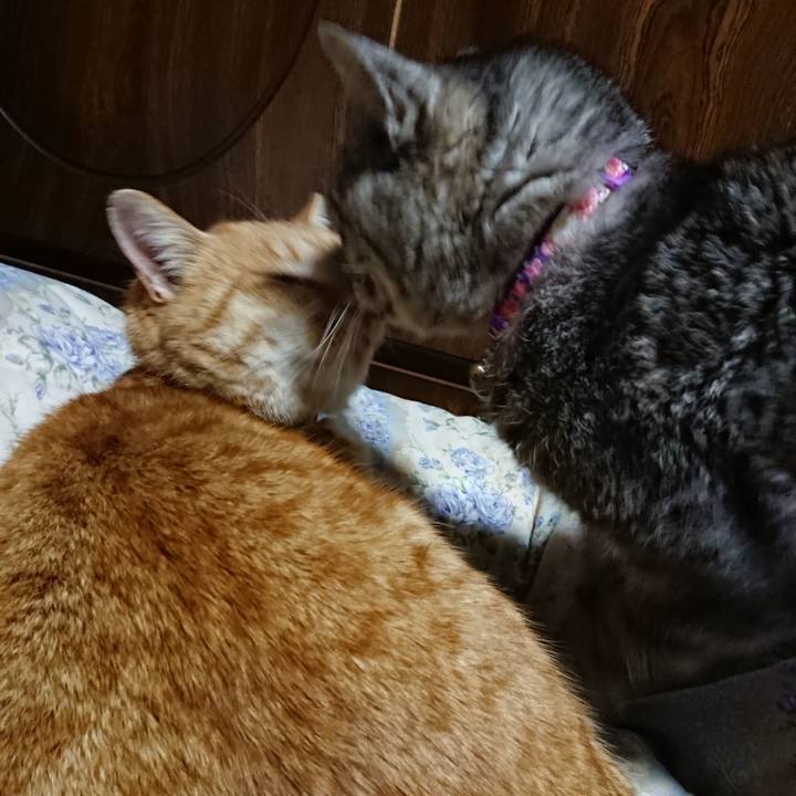 B302d92d 7d54 4ff8 8334 3c94ac9cace2 1579002032047