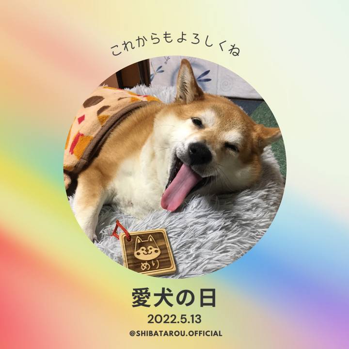 B302f94d 79bc 46b0 80d4 3b61823d6196 1652437562532