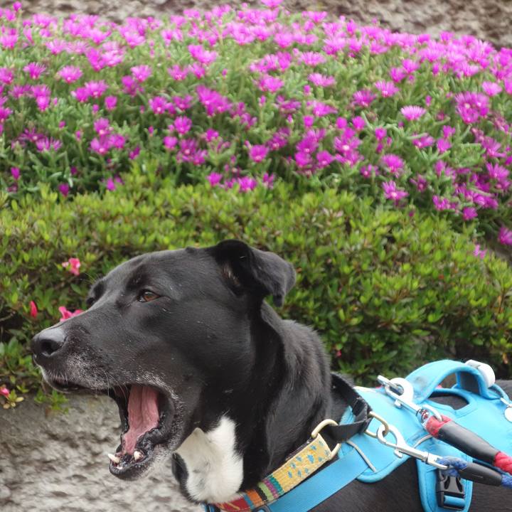 B3030dae b19b 408e 8301 715e7e2f3389 1621127064906