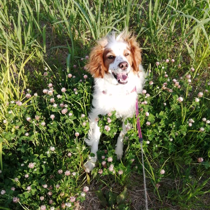 B3031a92 7f37 47d8 9d21 b09f5360cc28 1589372434587