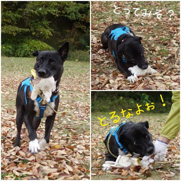 B3033f29 9beb 41da b10d 28e63ff6e16c 1605831235741