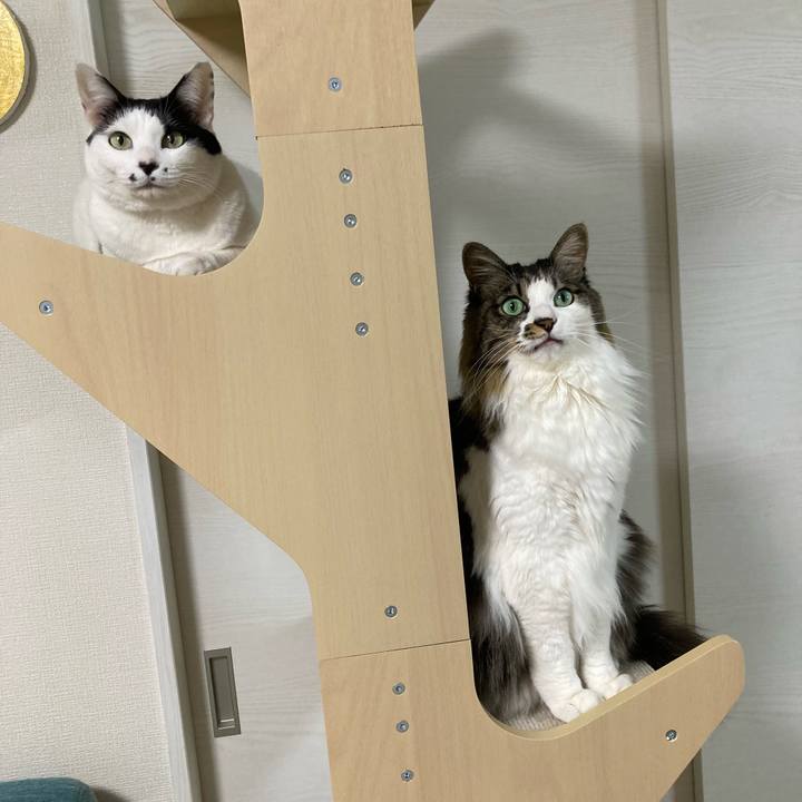 B30360e4 9e0d 43d6 b2cb 0aceeefb4139 1768397313690