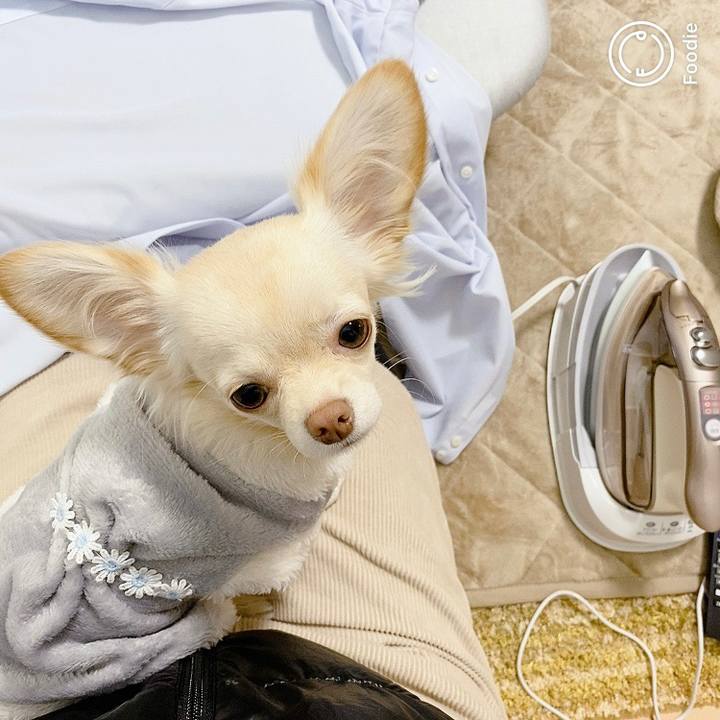 B303837d 01a4 4685 a580 af82a4063d58 1606885067058