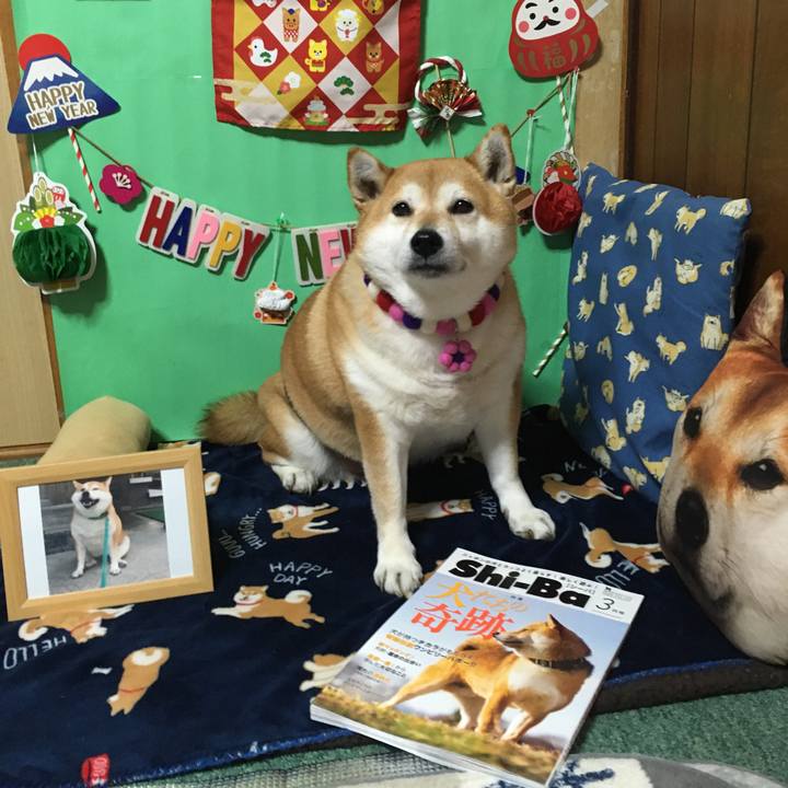 B303a85f 2972 45d6 8d51 f6d699698886 1643917977815