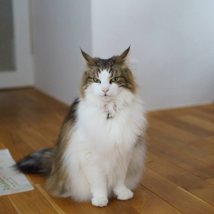 B303beac b128 47b8 b3c8 cbd3849d1e87 1648954464456