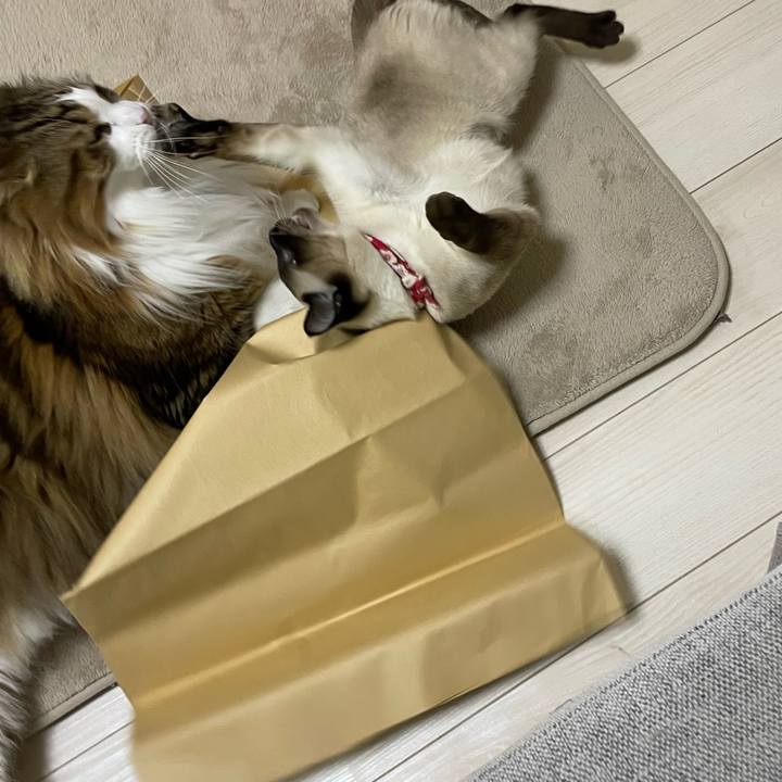 B303c837 105a 4bcc bbe6 c254e1c3b4be 1710191001829