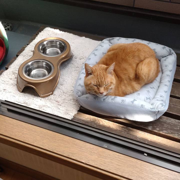 B303e5c7 a452 4609 b500 c750c86d4923 1713168368483