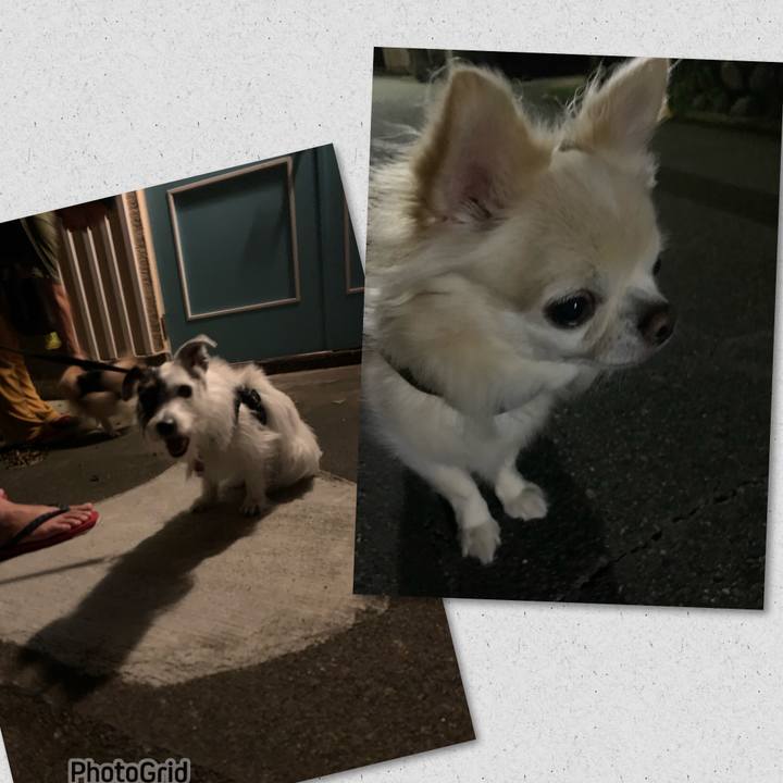 B303fc55 5608 4b4d 86c1 606ad5f6667e 1692623002194