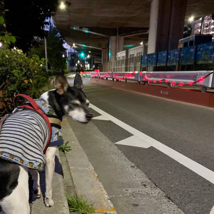 B3047820 8578 4c3f a184 b7ae5c33fa44 1605135810815