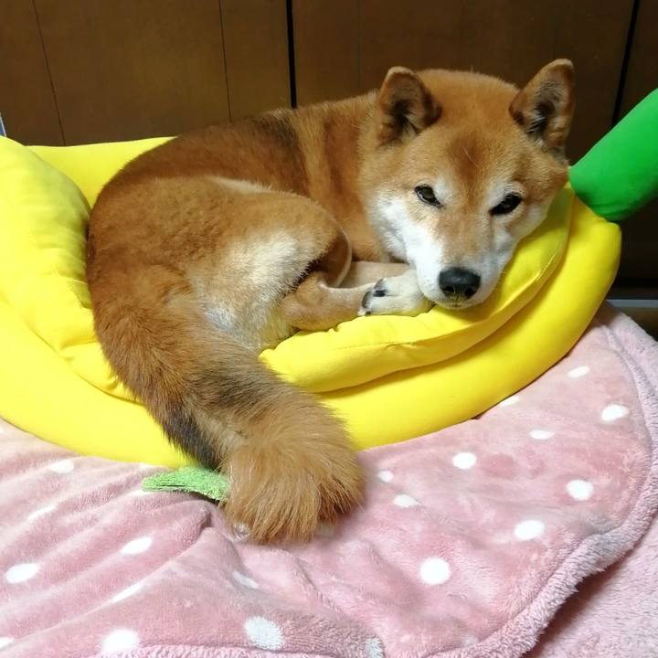 B304aa7c 4503 4462 ab88 6a1e4aee1808 1681381547910