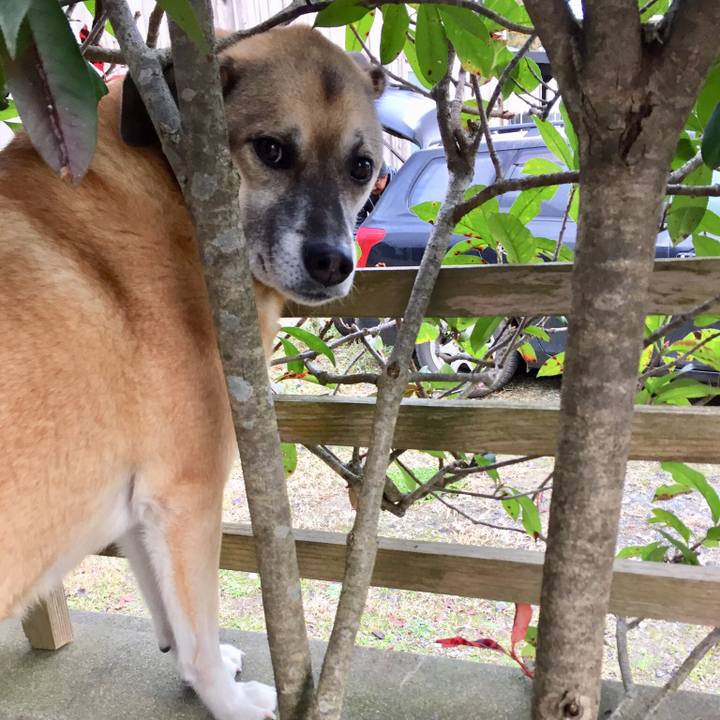 B304d8a4 fc9e 4979 b7d9 80430bb7ca5a 1512862610007