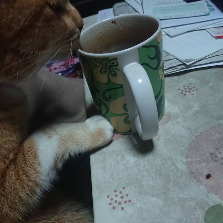 B304da57 7b04 4c48 8dc9 1bceb8893e42 1579639640600