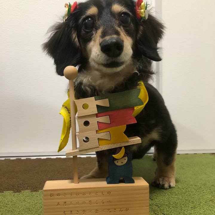 B30542f8 a753 409d b17a 40e0f13c665e 1620216377088