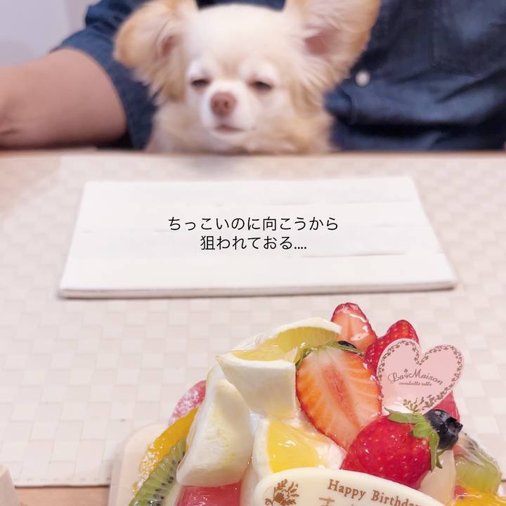 B3054bae 361e 40a0 8ca8 7508b329e7f4 1749561223405