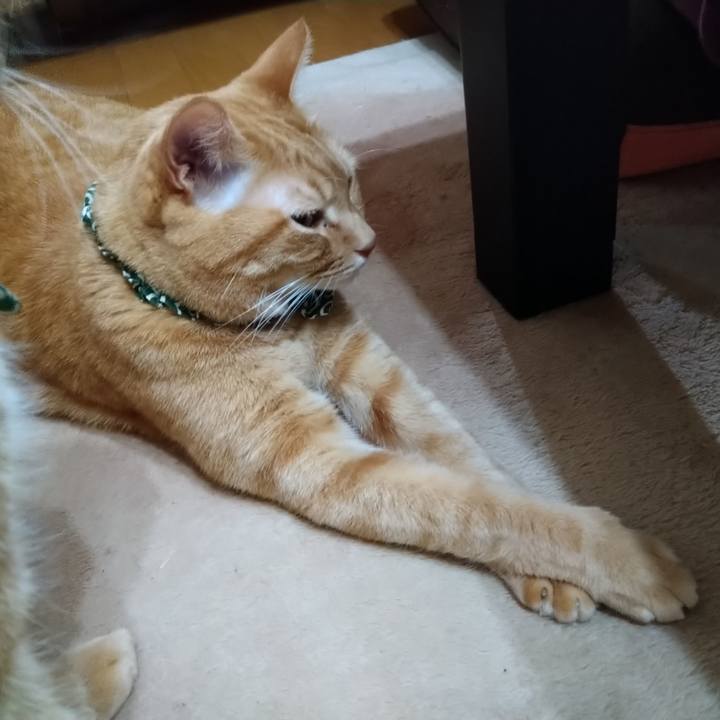 B305b8f6 a524 481d bbad 3ea57945d2db 1606127511674