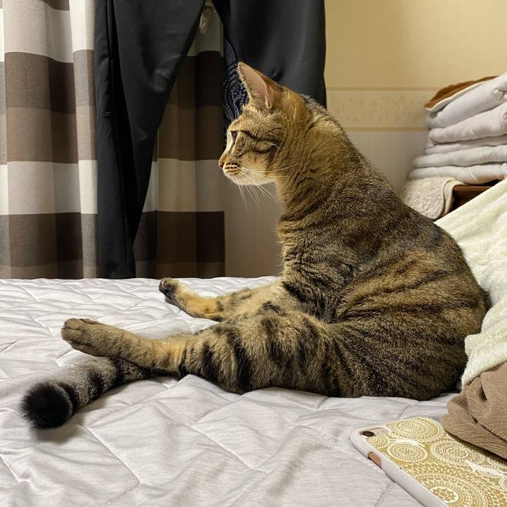 B305e9f7 b2de 4bbb a917 b6e7f70de995 1727780642344