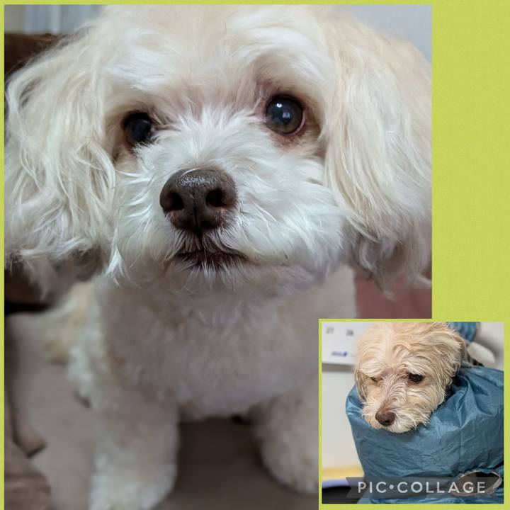 B305fe57 729a 4d15 9976 8bb665d0b199 1769171221572