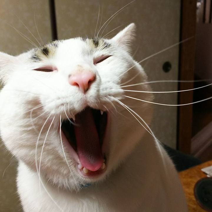 B3061e8c a8a9 4fea ab9c 2fe1a83b7915 1515083057263