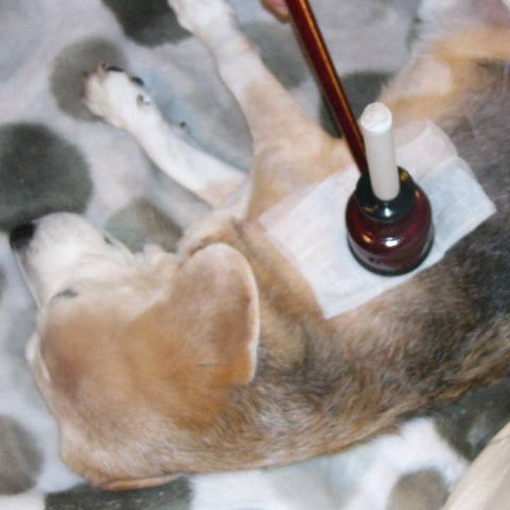 B3062320 37a8 481f bc1e 5ffe4c79ecf1 1675817946151