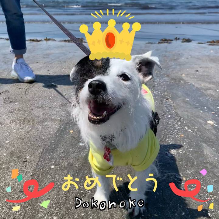 B3064337 08f7 419e 96de 2719f06b1ecb 1685930603896