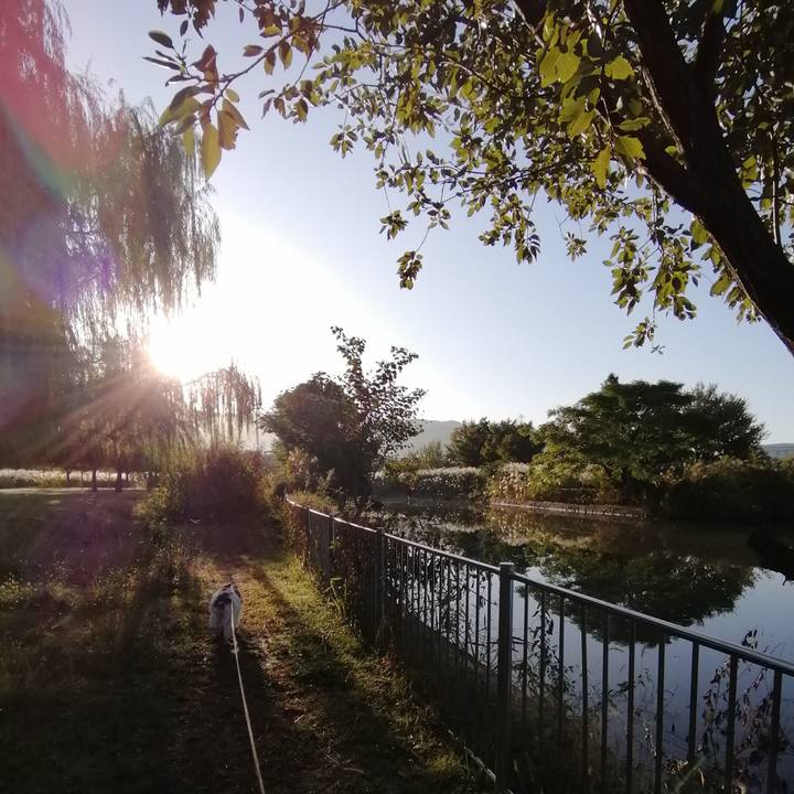 B3068cfd b5eb 4bbd 9ec4 4ffbced0bd02 1572955731605