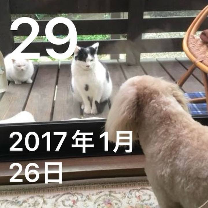 B3069ee2 08a5 4b2c 831e 18d341730a1a 1769648213956