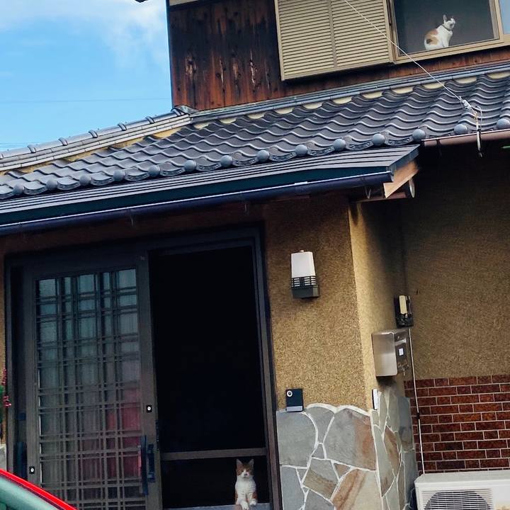 B306ea50 f6f8 4483 9124 7a5be71b53d7 1660432624905