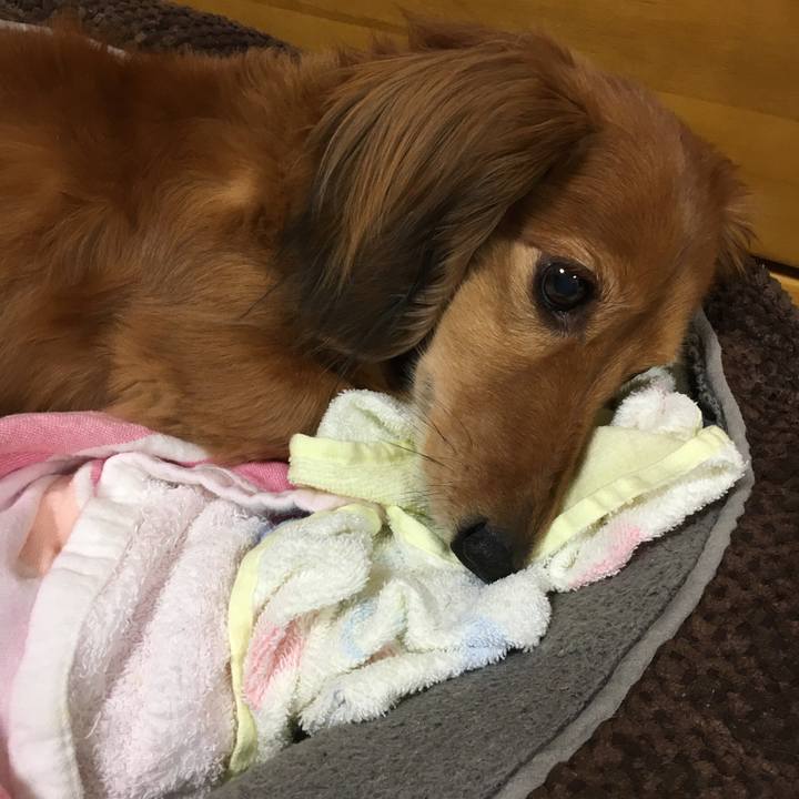 B3071c79 4c92 42b6 869e 44722cae33e4 1524664472691