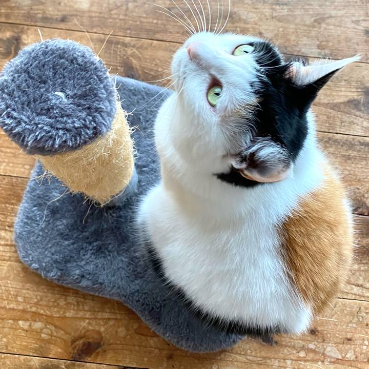 B3073a53 dee9 4a82 a3c5 ae9031ad95aa 1686460624956