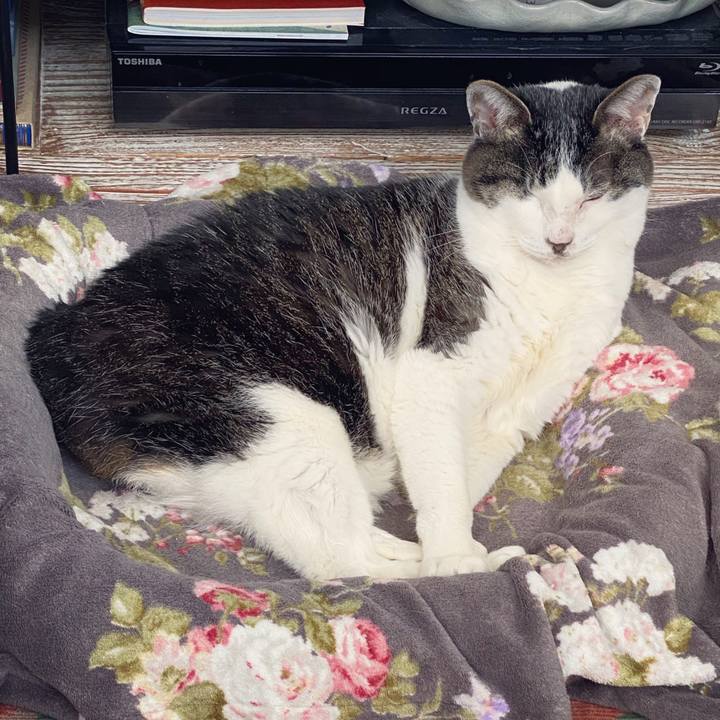 B3073db8 aed2 4a01 94cd 38efa106de90 1587111340893