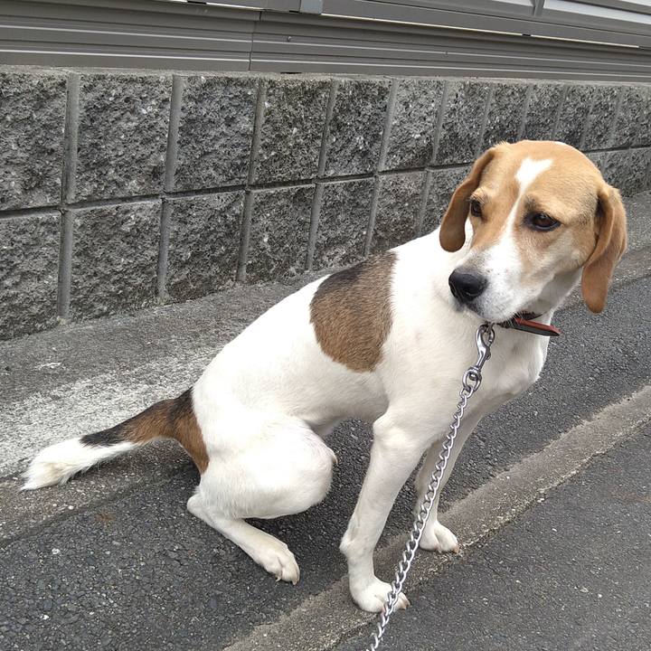 B3077a09 6af8 47b9 a695 8517ea67a780 1629209419415