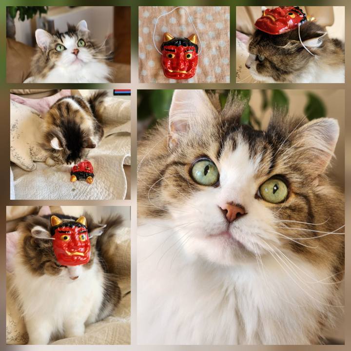 B307c648 2897 4297 a7f1 a4773c429ca8 1770081058524