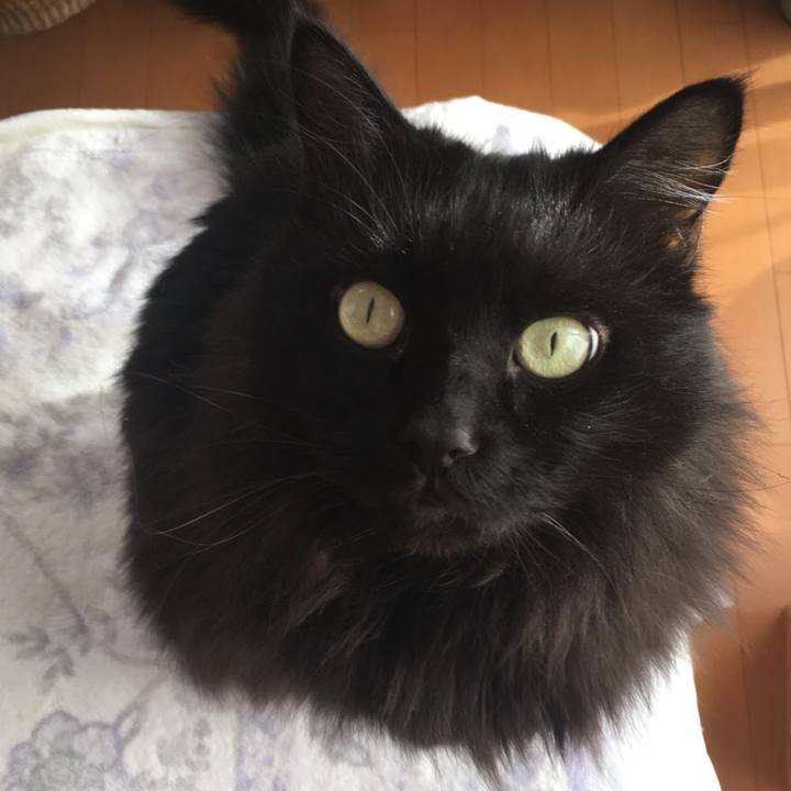 B307fbaf bf00 48bf add8 69a93f21df42 1545621845086