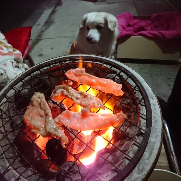 B3081ccf 9617 49b2 b01e d9ed1f0b1304 1547978526082