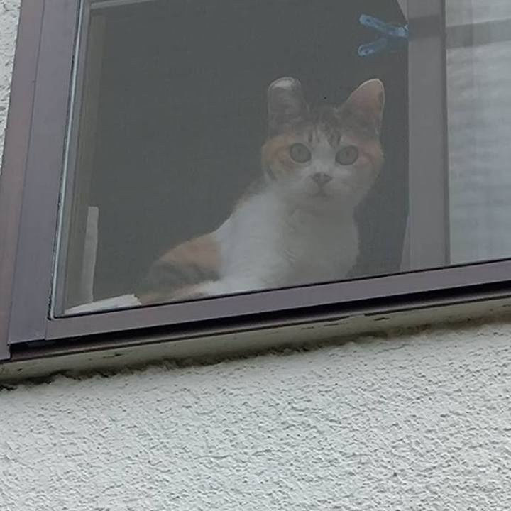 B30852cd addf 4f79 b728 f4245aa3b1b6 1755695544441