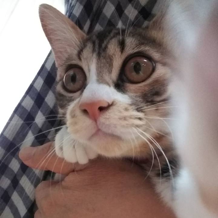 B3085af9 1201 4e40 8306 17a84212cb6c 1634785971981