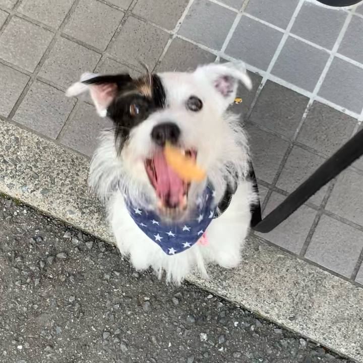 B3086eef c564 425a b0fd 101420f0333f 1659431088746