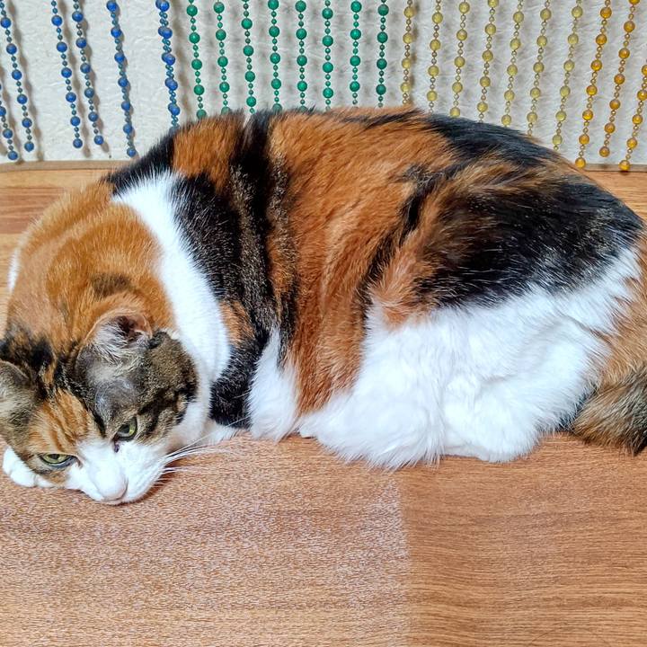 B3087e84 7559 4ebc a773 901e97aab2df 1640172625010